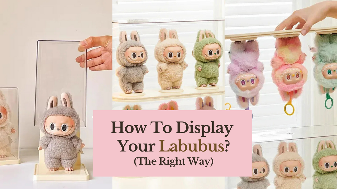 Ultimate Labubu Display Guide 2025 | Tips, Cases & Wall-Mount Ideas