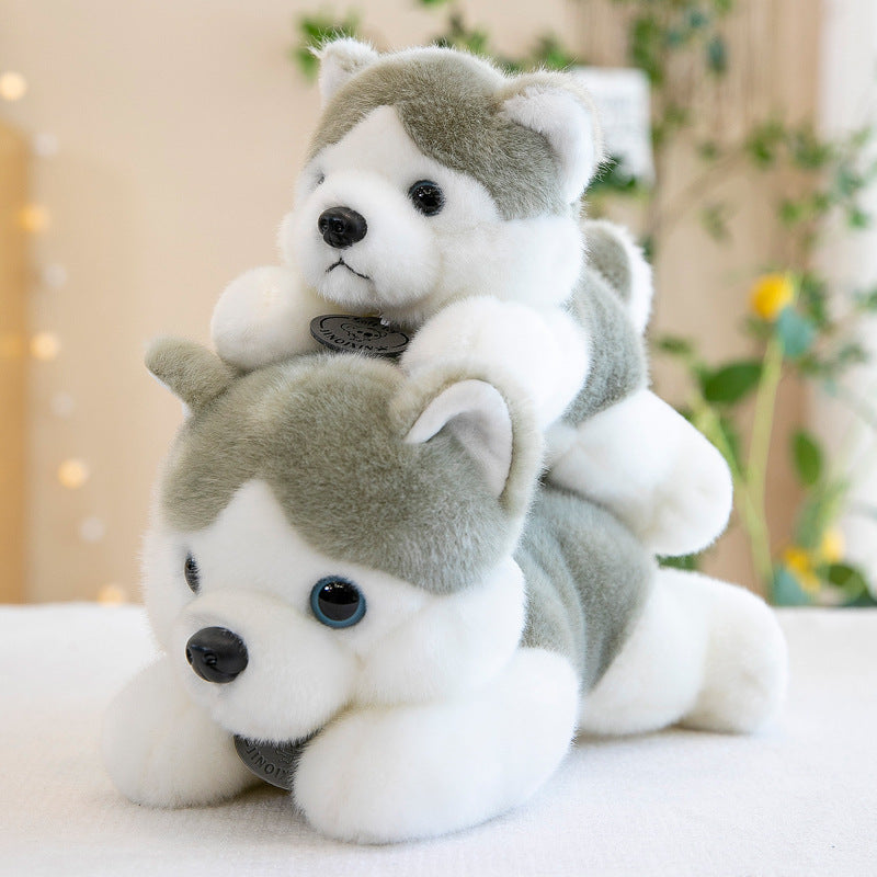 Shop Giant Husky Puppy Plushie | Cute Stuffed Animal Husky - Goodlifebean Plushie | Stuffed Animal