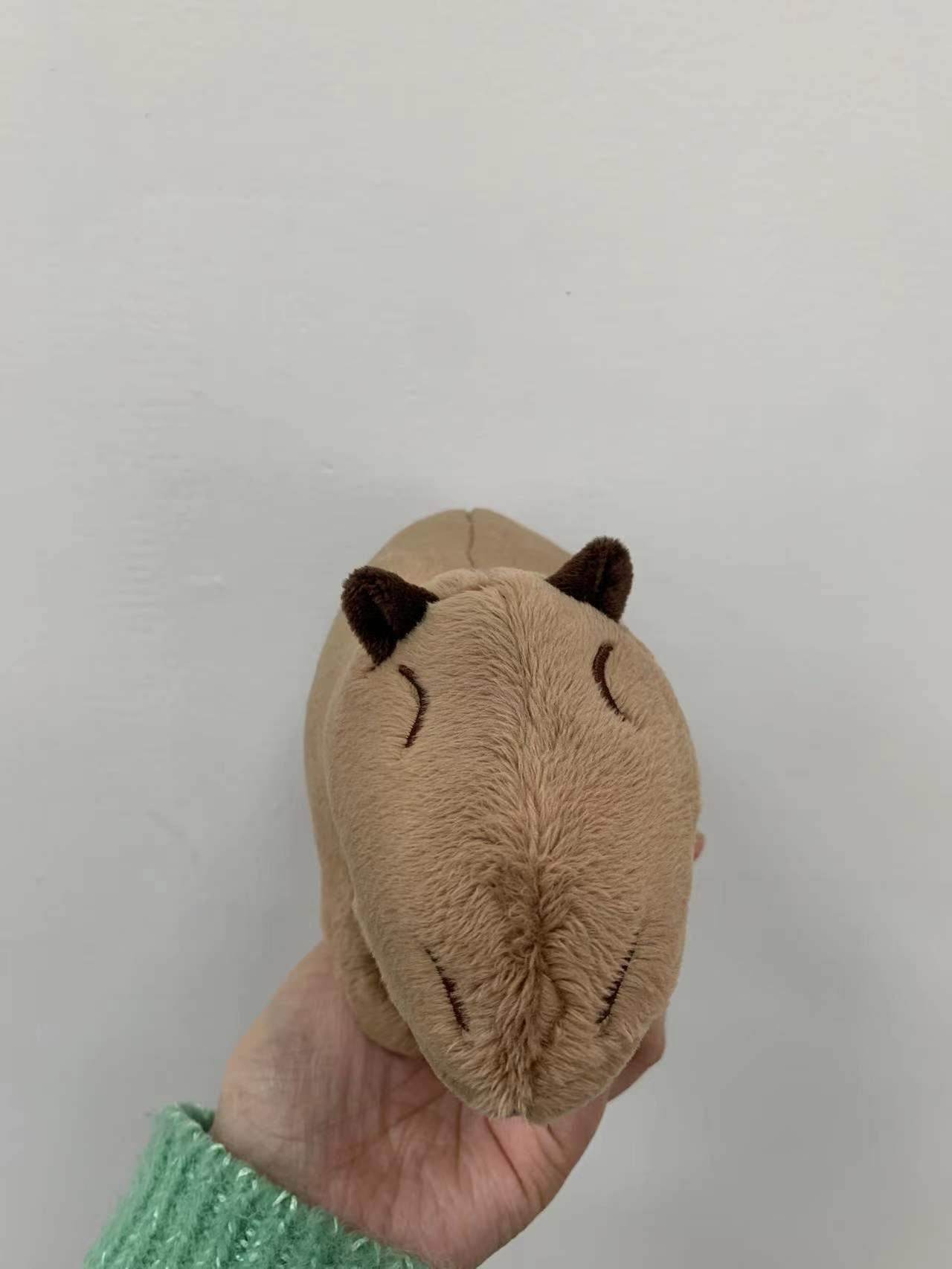 Shop Cappy: Capybara Plush Toy - Goodlifebean Plushie | Stuffed Animal