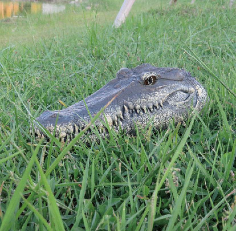 Shop Crocadillo: Remote Control Crocodile Boat - Goodlifebean Plushie | Stuffed Animal