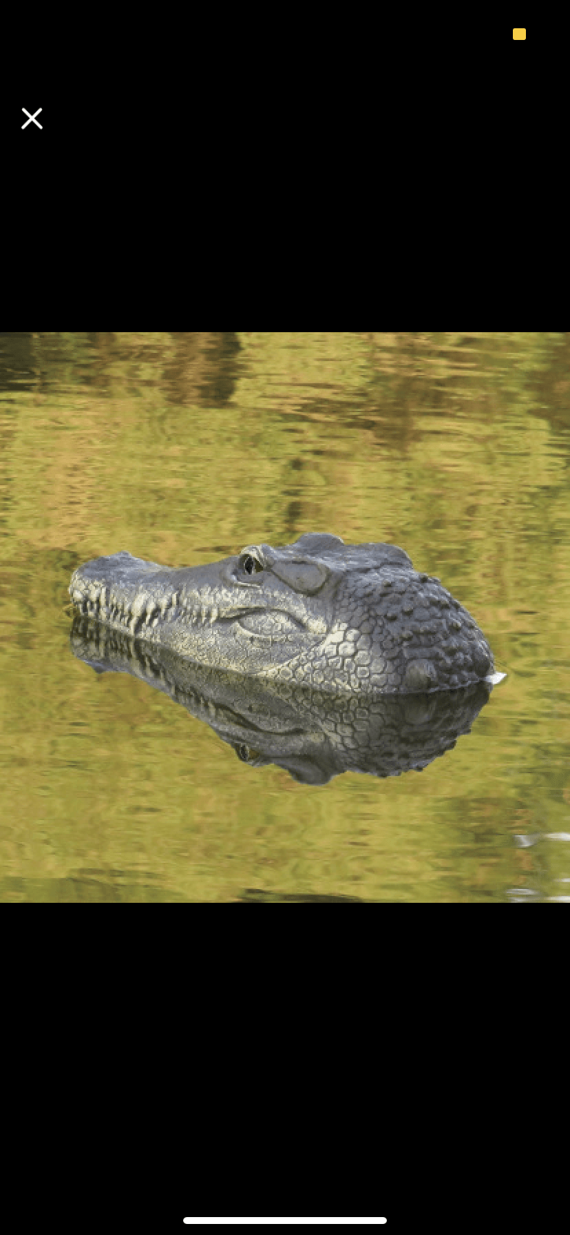 Shop Crocadillo: Remote Control Crocodile Boat - Goodlifebean Plushie | Stuffed Animal