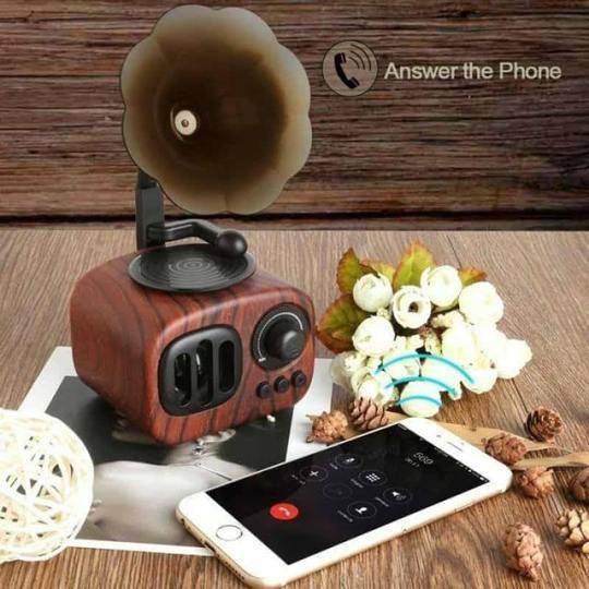 Shop Vintage Gramophone Bluetooth Speaker - Goodlifebean Plushie | Stuffed Animal