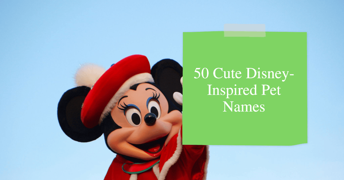50 Cute Disney-Inspired Pet Names - Goodlifebean