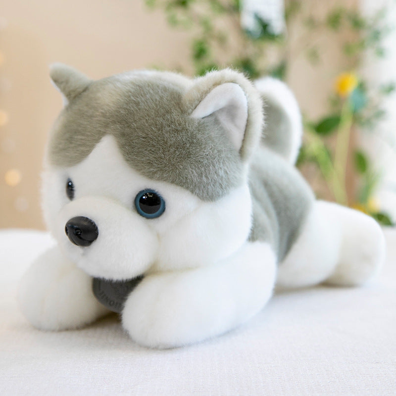 Shop Giant Husky Puppy Plushie | Cute Stuffed Animal Husky - Goodlifebean Plushie | Stuffed Animal