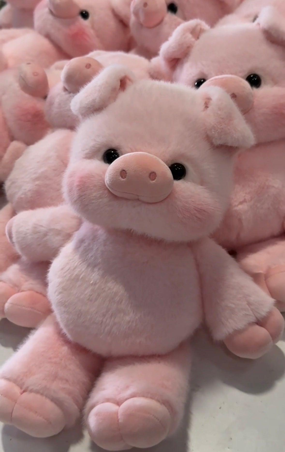 Blushie : Peluche cochon trop mignonne