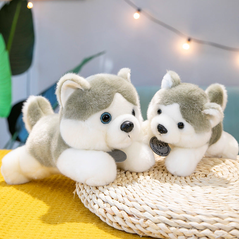 Shop Giant Husky Puppy Plushie | Cute Stuffed Animal Husky - Goodlifebean Plushie | Stuffed Animal