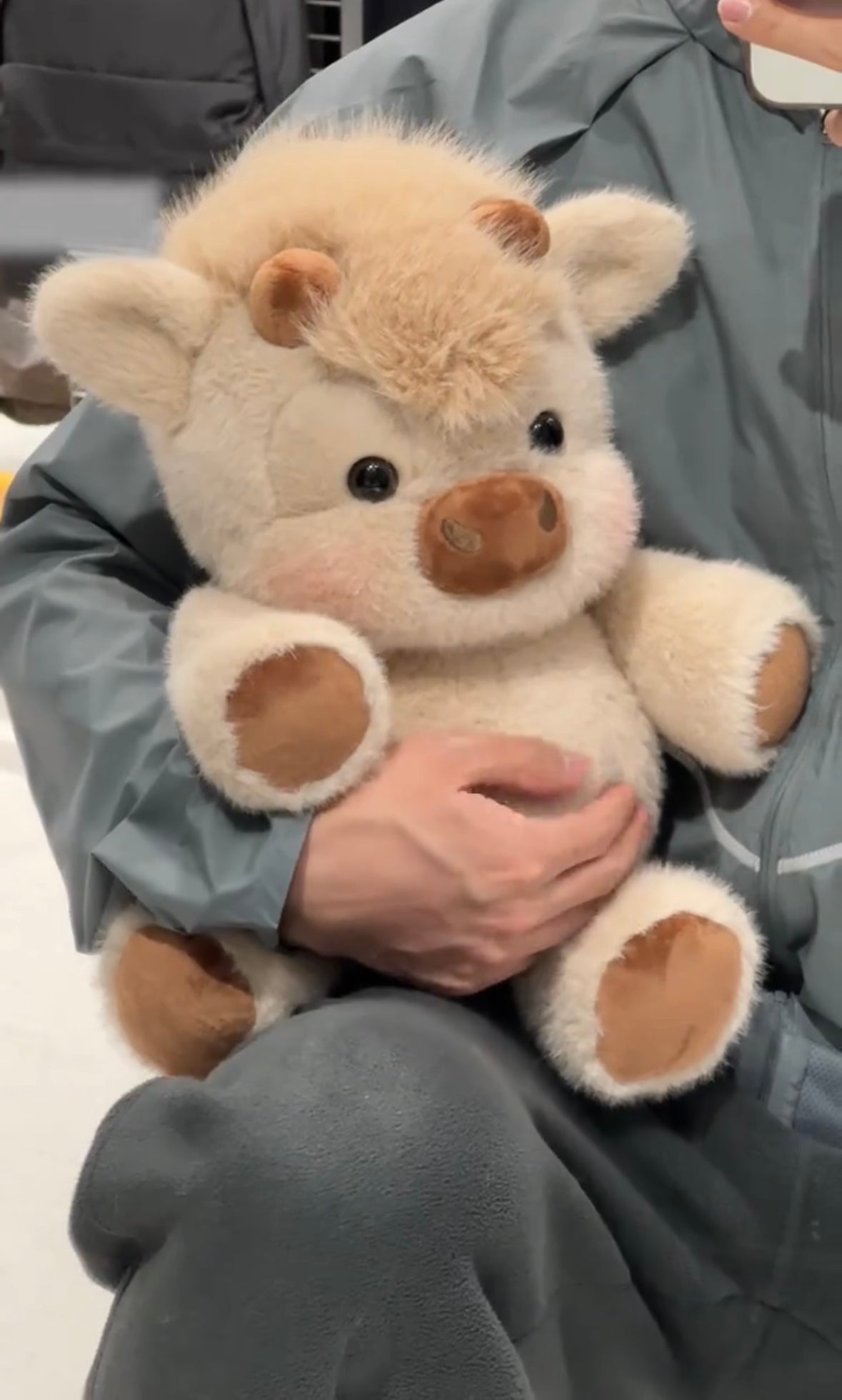 Peluche de vache des Highlands rondelette