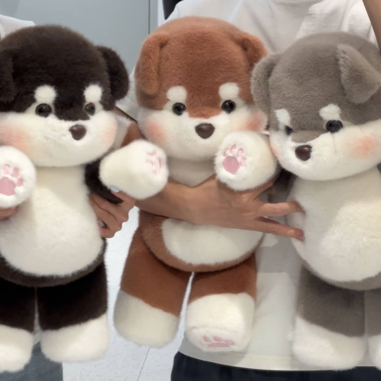 Chai: Chubby Husky Plushie - Goodlifebean product_type