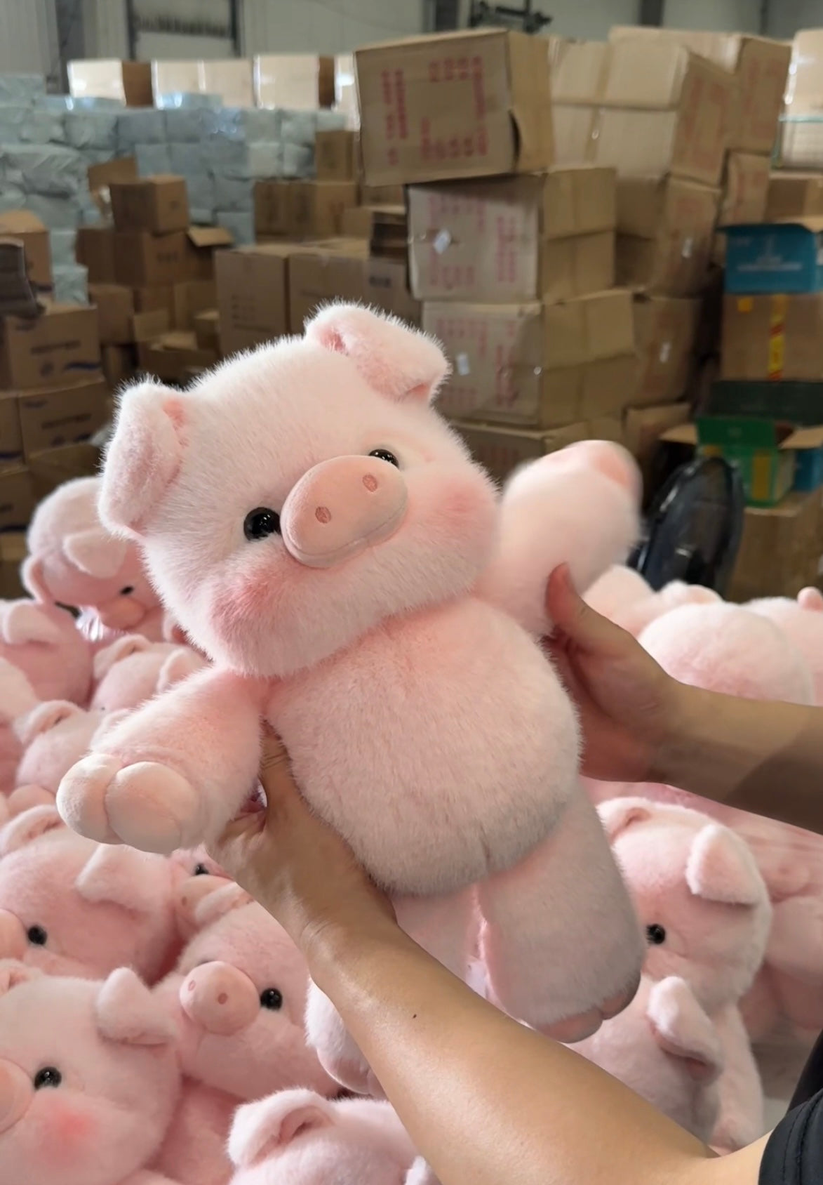 Blushie : Peluche cochon trop mignonne