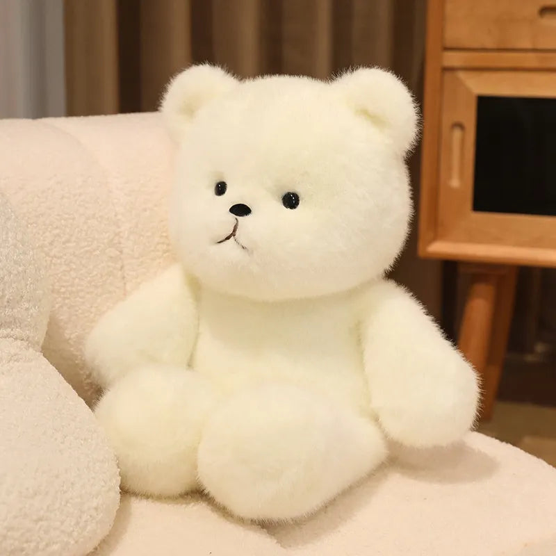 Clover: Trending Mini Teddy Bear