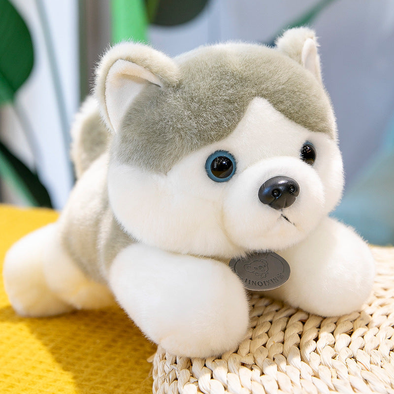 Shop Giant Husky Puppy Plushie | Cute Stuffed Animal Husky - Goodlifebean Plushie | Stuffed Animal