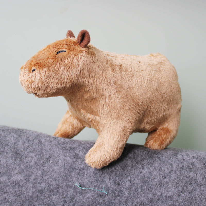 Shop Cappy: Capybara Plush Toy - Stuffed Animals Goodlifebean Plushies | Stuffed Animals