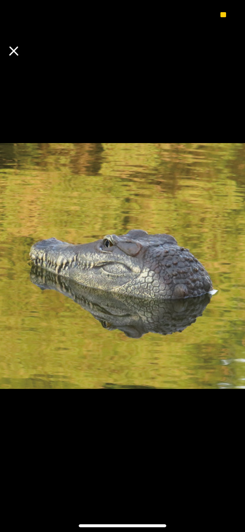 Shop Crocadillo: Remote Control Crocodile Boat - Goodlifebean Black Friday Sale | Plushies | Giant Teddy Bear